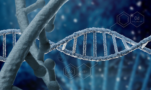 DNA分子 高科技時代的生物化學(xué)基石與生物科技的變革力量